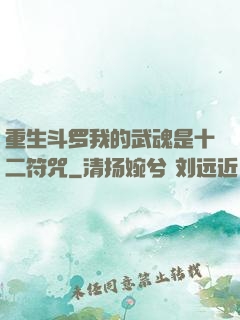 重生斗罗我的武魂是十二符咒